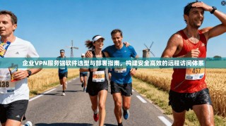 企业VPN服务端软件选型与部署指南，构建安全高效的远程访问体系