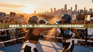 隐藏身份，安全上网—深入解析Hideninjia VPN的原理与使用建议