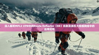 深入解析MPLS VPN中的Route Reflector（RR）机制及其在大规模网络中的应用优势