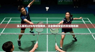深入解析VPN与可信网关，企业网络安全的双保险机制