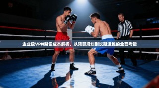 企业级VPN架设成本解析，从预算规划到长期运维的全面考量