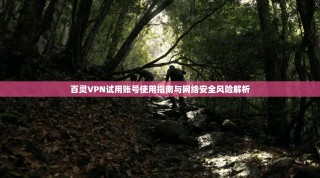 百灵VPN试用账号使用指南与网络安全风险解析