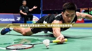 绝地求生玩家自建VPN，技术可行但风险需警惕