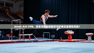 Green Ark VPN，安全与隐私的数字守护者还是潜在风险？
