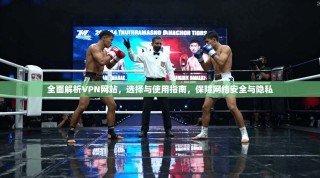 全面解析VPN网站，选择与使用指南，保障网络安全与隐私