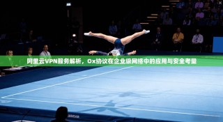 阿里云VPN服务解析，Ox协议在企业级网络中的应用与安全考量