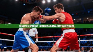 东风VPN安全吗？深度解析其隐私保护与潜在风险