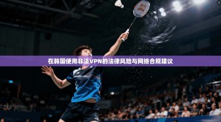在韩国使用非法VPN的法律风险与网络合规建议