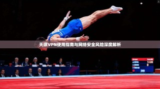 天琪VPN使用指南与网络安全风险深度解析