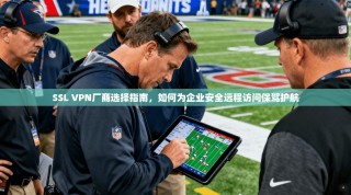 SSL VPN厂商选择指南，如何为企业安全远程访问保驾护航