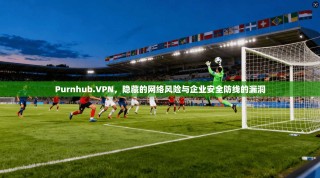Purnhub.VPN，隐藏的网络风险与企业安全防线的漏洞