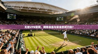 天地VPN官网，网络自由与安全的双刃剑？