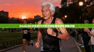 RouterOS中实现VPN互访的配置与优化策略详解