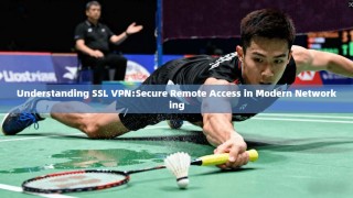 Understanding SSL VPN:Secure Remote Access in Modern Networking