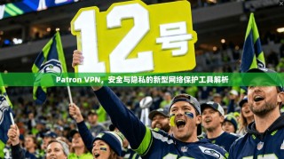 Patron VPN，安全与隐私的新型网络保护工具解析