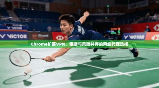 Chrome扩展VPN，便捷与风险并存的网络代理选择