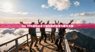 SSL VPN虚拟IP未分配问题的排查与解决方案