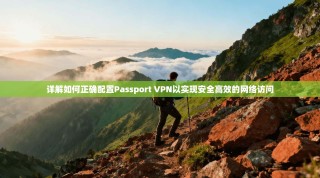详解如何正确配置Passport VPN以实现安全高效的网络访问