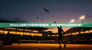 iPhone上使用VPN服务的费用解析，如何选择性价比最高的方案？