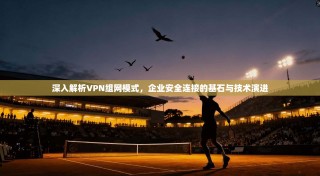 深入解析VPN组网模式，企业安全连接的基石与技术演进