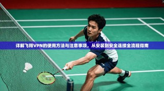 详解飞翔VPN的使用方法与注意事项，从安装到安全连接全流程指南