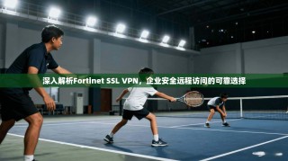 深入解析Fortinet SSL VPN，企业安全远程访问的可靠选择