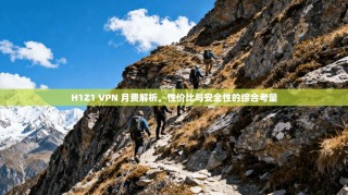 H1Z1 VPN 月费解析，性价比与安全性的综合考量