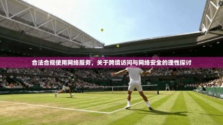 合法合规使用网络服务，关于跨境访问与网络安全的理性探讨