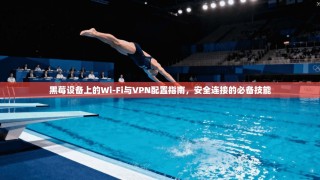 黑莓设备上的Wi-Fi与VPN配置指南，安全连接的必备技能