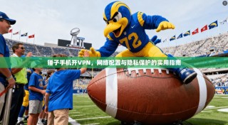 锤子手机开VPN，网络配置与隐私保护的实用指南