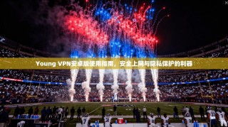 Young VPN安卓版使用指南，安全上网与隐私保护的利器