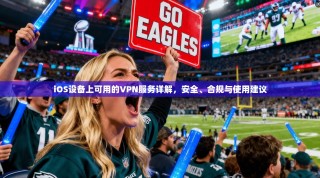 iOS设备上可用的VPN服务详解，安全、合规与使用建议