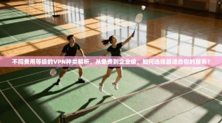 不同费用等级的VPN种类解析，从免费到企业级，如何选择最适合你的服务？