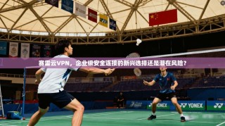 赛雷云VPN，企业级安全连接的新兴选择还是潜在风险？