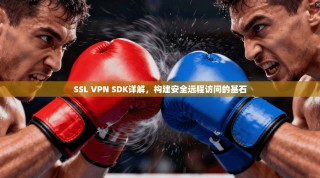 SSL VPN SDK详解，构建安全远程访问的基石