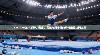 LoE VPN技术解析，安全、高效与灵活性的现代远程访问方案