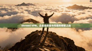 Shrewd VPN，企业级安全与性能的明智之选