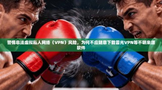 警惕非法虚拟私人网络（VPN）风险，为何不应随意下载雷光VPN等不明来源软件