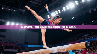 猫哩VPN，便捷与风险并存的网络代理服务解析