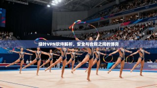 绿叶VPN软件解析，安全与合规之间的博弈