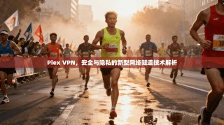 Piex VPN，安全与隐私的新型网络隧道技术解析