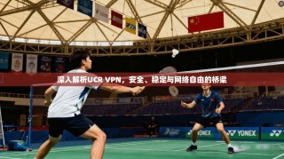 深入解析UCR VPN，安全、稳定与网络自由的桥梁