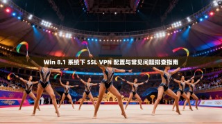 Win 8.1 系统下 SSL VPN 配置与常见问题排查指南