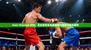 Halo Channel VPN，企业级安全连接的新兴选择与技术解析