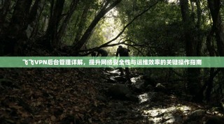 飞飞VPN后台管理详解，提升网络安全性与运维效率的关键操作指南