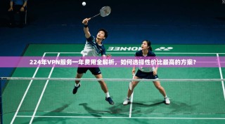 224年VPN服务一年费用全解析，如何选择性价比最高的方案？