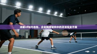 详解VPN可选包，企业网络架构中的灵活安全方案