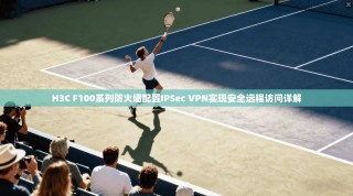H3C F100系列防火墙配置IPSec VPN实现安全远程访问详解