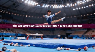 为什么使用VPN后Tumblr访问依旧缓慢？网络工程师深度解析