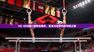 SSL VPN端口更改全解析，安全与灵活性的平衡之道